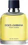 Dolce & Gabbana Dolce & Gabbana, Pour Homme, Eau De Toilette, Meestele, 125 ml