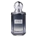 Auraa Desire Auraa Desire, Spiritz, parf&uuml;&uuml;miekstrakt, meestele, 100 ml