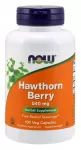 Now Foods NOW Foods viirpuu marjad, 540 mg &ndash; 100 kapslit