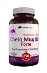 Olimp Nutrition Olimp Nutrition Chela - Mag B6 Forte - 90 kapslit
