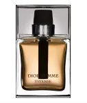 Christian Dior Christian Dior, Dior Homme Intense, parf&uuml;&uuml;mvesi, meestele, 100 ml