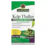 Nature's Answer Nature's Answer Kelp Thallus &ndash; 100 kapslit