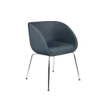 K&uuml;lastajatool Jula4L Chrome Strong