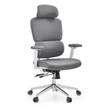 Kontoritool ERGOMY WF2, hall
