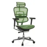 Kontoritool Ergohuman ELITE BS GREEN