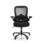 Kontoritool INSTRUCTOR SW I - XXL, kuni 220 kg