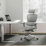 Kontoritool Ergohuman ELITE GS Grey FD