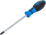 Kruvikeeraja | T-Star (Torx) T40 (4923)
