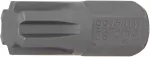 Otsik | pikkus 30 mm | 10 mm (3/8") | Spline (RIBE) M11 (4766)