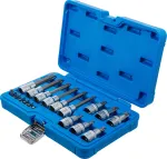 Pressitud otsikute komplekt | 6.3 mm (1/4") / 12.5 mm (1/2") | T-star (Torx) | 18 tk (5173)
