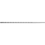 Puur betoonile | SDS-Max | 20x600 mm (23392)