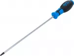 Kruvikeeraja | T-Star ("Torx") T25 | pikk t&uuml;&uuml;p | 250 mm (4946)
