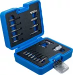Kruvide v&auml;ljat&otilde;mbamise komplekt | sisekuuskantile 1,5 - 10 mm / T-Star (Torx) | T10 - T55 | 19 tk (9173-1)