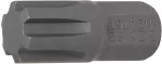 Otsik | pikkus 30 mm | 10 mm (3/8") | Spline (RIBE) M12 (4767)