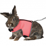 Trixie Rabbit Soft Harness With Leash nailonist rakmed k&uuml;&uuml;likutele rihmaga, reguleeritav, 25&ndash;32 cm, 1,20 m