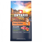 Ontario Puppy Medium Lamb & Brown Rice superpremium kuivtoit keskmist t&otilde;ugu kutsikatele ja juunioridele, 6,5 kg