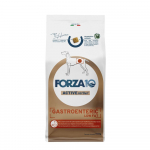 Forza10 Gastroenteric veterinaarne dieettoit t&auml;iskasvanud koertele h&uuml;drol&uuml;&uuml;situd kala proteiiniga seedetrakti h&auml;irete korral, 10 kg