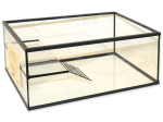 Akvaria Ante klaasist terrarium, 65 liitrit, 65x40x25 cm, 4 mm klaas