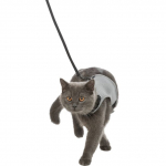 Trixie Soft Harness With Lead For Cats rakmed vestiga rihmaga kassidele, 24&ndash;42 cm, 1,20 m