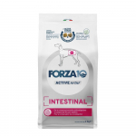 Forza10 Intestinal Active dieetkuivtoit t&auml;iskasvanud koertele seedeprobleemidega, monoproteiiniga kala, 4 kg