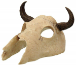 Repti Planet Buffalo Skull terraariumi dekoraat, piisoni kolju, 12,5x11,8x8 cm
