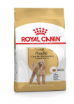 Royal Canin BHN Poodle Adult kuivtoit t&auml;iskasvanud puudlitele, 1.5 kg
