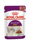 Royal Canin FHN Sensory Smell In Gravy kassikonserv kastmes t&auml;iskasvanud kassidele, 85 g