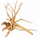 Trixie 6 Finger Roots looduslik dekoratsioon terariumi ja akvaariumi jaoks, M/L, kuni 50 cm
