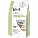 Brit Veterinary Diets Cat Diabetes kuivtoit kassidele suhkurt&otilde;vega, 2 kg