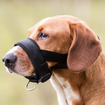 Trixie Muzzle Loop Nailonist koonukate koertele, L-XL suurus, neopreenpolstriga, kaela rihm 23-34 cm, koon 34 cm