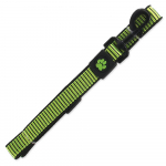 Active Dog Leash Strong L nailonrihm suurtele koertele helkurniidiga, laimiroheline, 2,5x120 cm