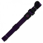 Active Dog Leash Strong L nailonrihm koertele, lilla, 2,5x120 cm