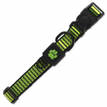 Active Dog Strong M nailonist krae koertele helkurniidiga, laimiroheline, 2x34-49 cm