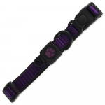 Active Dog Collar Strong M lilla krae koertele, nailon, reguleeritav, helkur, violetne, 2 cm x 34-49 cm