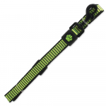 Active Dog Leash Strong M laimiroheline nailonrihm keskmistele koertele helkurniidiga, 2x120 cm
