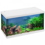 Eheim aquastar 54 LED valge akvaariumi starterkomplekt, koos filtriga, k&uuml;ttekehaga, valgustusega
