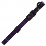 Active Dog Leash Strong M nailonrihm keskmistele koertele, lilla, 2x120 cm