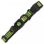 Active Dog Strong Collar S laimiroheline nailonist krae v&auml;ikestele koertele helkurniidiga, 1,5x27-37 cm