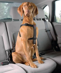 Europet Bernina D&D Dog-Secure auto turvarihm koertele, XS, rindkere &uuml;mberm&otilde;&otilde;t 20-50 cm