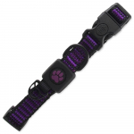 Active Dog Collar Strong S krae koertele, lilla, 1,5x27-37 cm