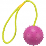 Trixie Ball On A Rope m&auml;nguasi koertele, naturaalsest kummist, &oslash; 7 cm / 30 cm