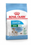 Royal Canin SHN Mini Starter kuivtoit v&auml;ikestele emastele ja kutsikatele, 1 kg