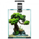 Aquael Shrimp Set Smart D&N 10 must akvaarium