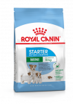 Royal Canin Mini Starter kuivtoit v&auml;ikestele t&otilde;ukoertele ja kutsikatele, 8 kg