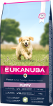 Eukanuba Puppy And Junior Large Lamb And Rice kuivtoit suurte t&otilde;ugude kutsikatele, lambalihaga ja riisiga, 2,5 kg