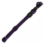 Active Dog Leash Strong S nailonrihm koertele, vastupidav, helkur, lilla, 1,5x120 cm