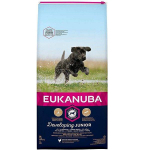 Eukanuba Junior Large Breed Chicken kuivtoit suurte t&otilde;ugude kutsikatele ja juunioridele, 15 kg