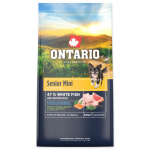 Ontario Senior Mini Fish & Brown Rice kuivtoit vanematele v&auml;ikeste t&otilde;ugude koertele, 6,5 kg