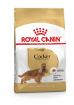 Royal Canin BHN Cocker Adult kuivtoit t&auml;iskasvanud kokkerspanjelitele, 3 kg