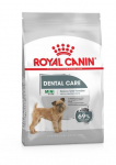 Royal Canin CCN Mini Dental Care kuivtoit v&auml;ikest t&otilde;ugu koertele, kellel on kalduvus hambakivi tekkimisele, 1 kg